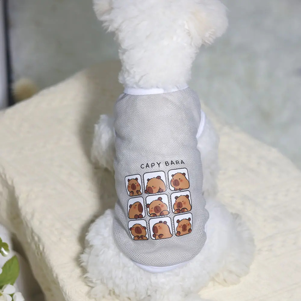 Kapi Cat and Dog Summer Mesh Breathable Pet Thin Tank Top Cartoon Printed Clothes Bomei Gold Haired Large Dog 250407