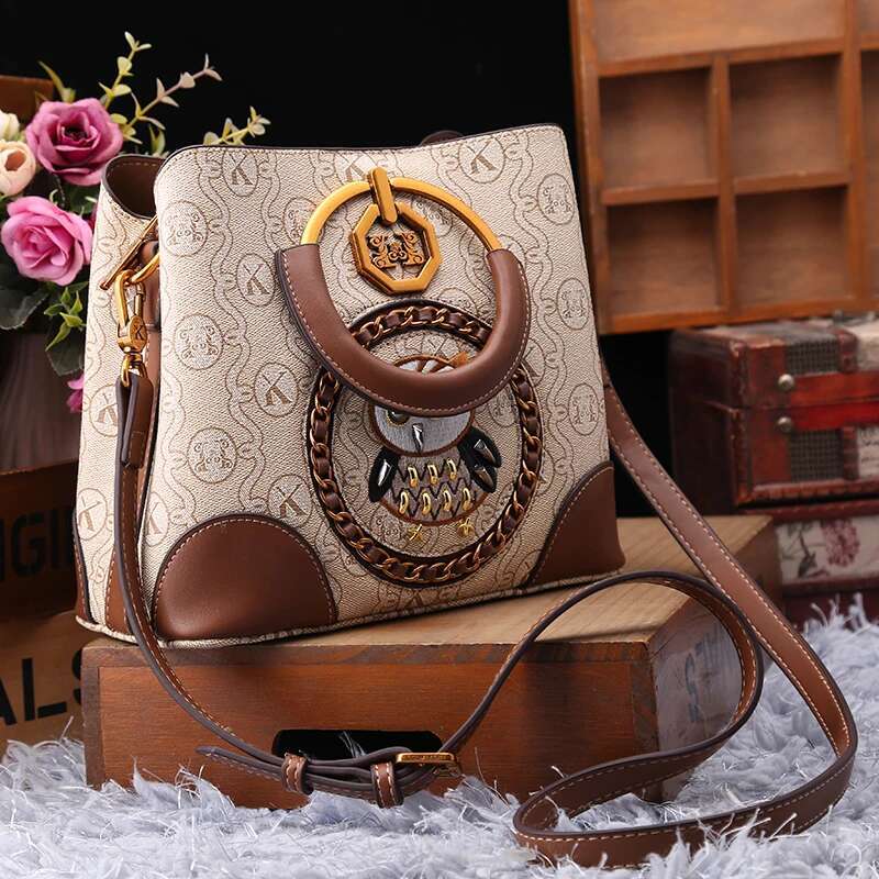 Light Brand Women's Handbag 2025 New Autumn And Winter High-End Designer Single Shoulder Crossbody Fashion Bucket Bag