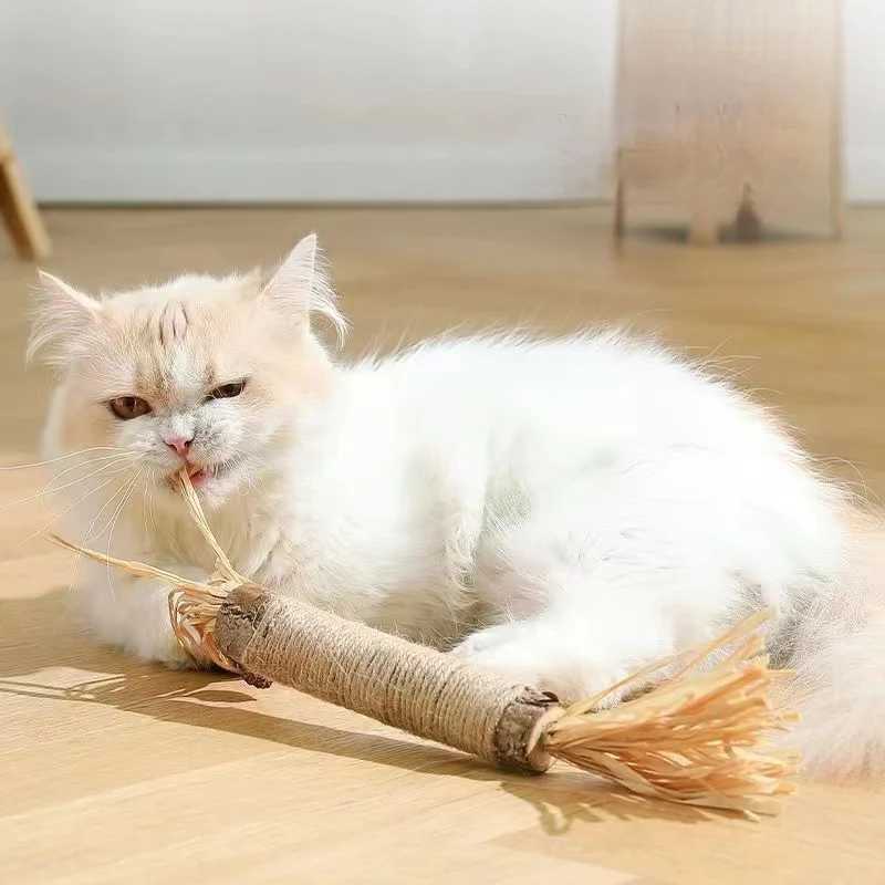 Catnip cat toy natural Matatabi pet snack stick for cleaning teeth removing hair to promote digestion silver vine kitten chewing toy Y250412