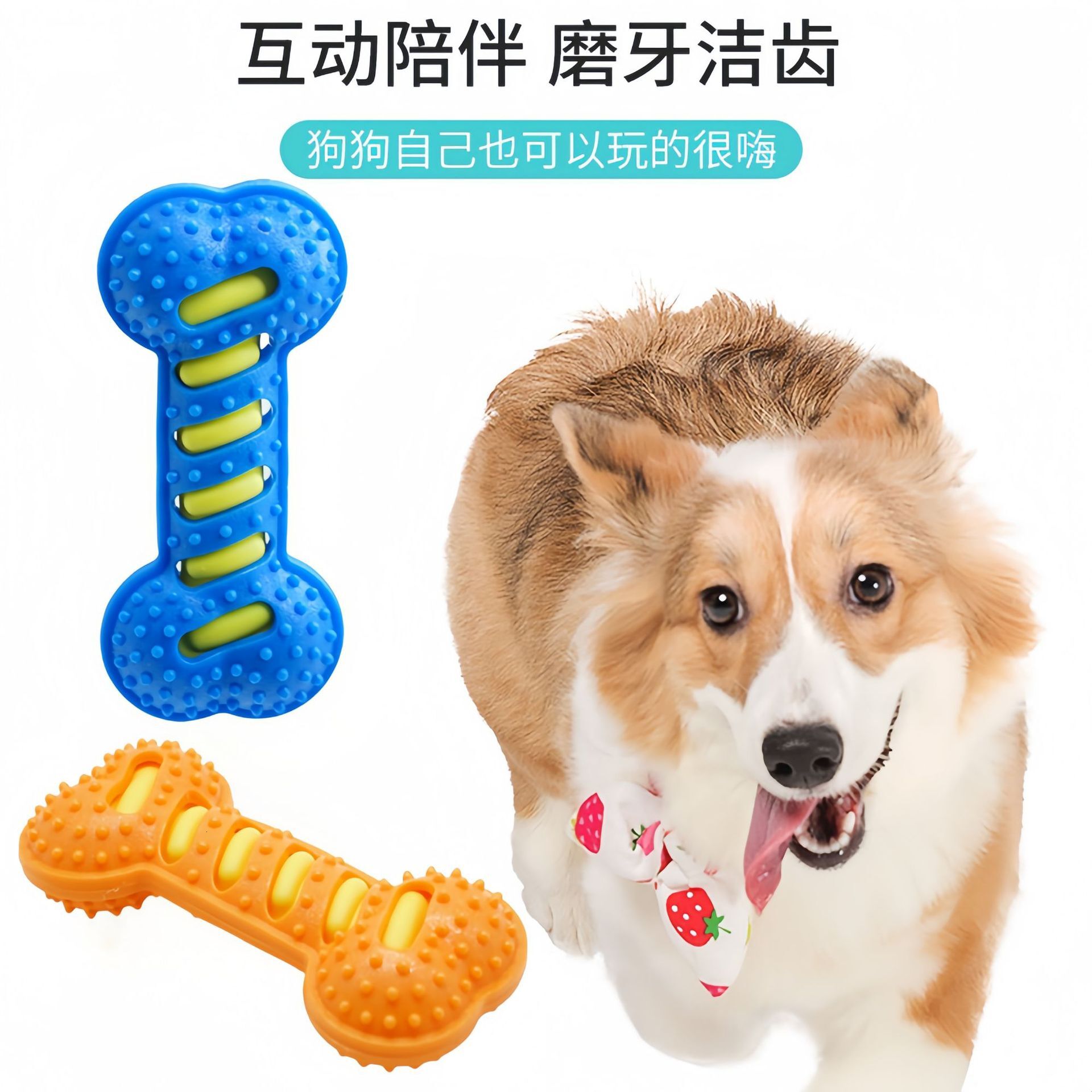 Cross border dog toys, bite resistant grinding teeth sticks, interactive training dog toys, rubber sounding bones, pet supplies wholesale
