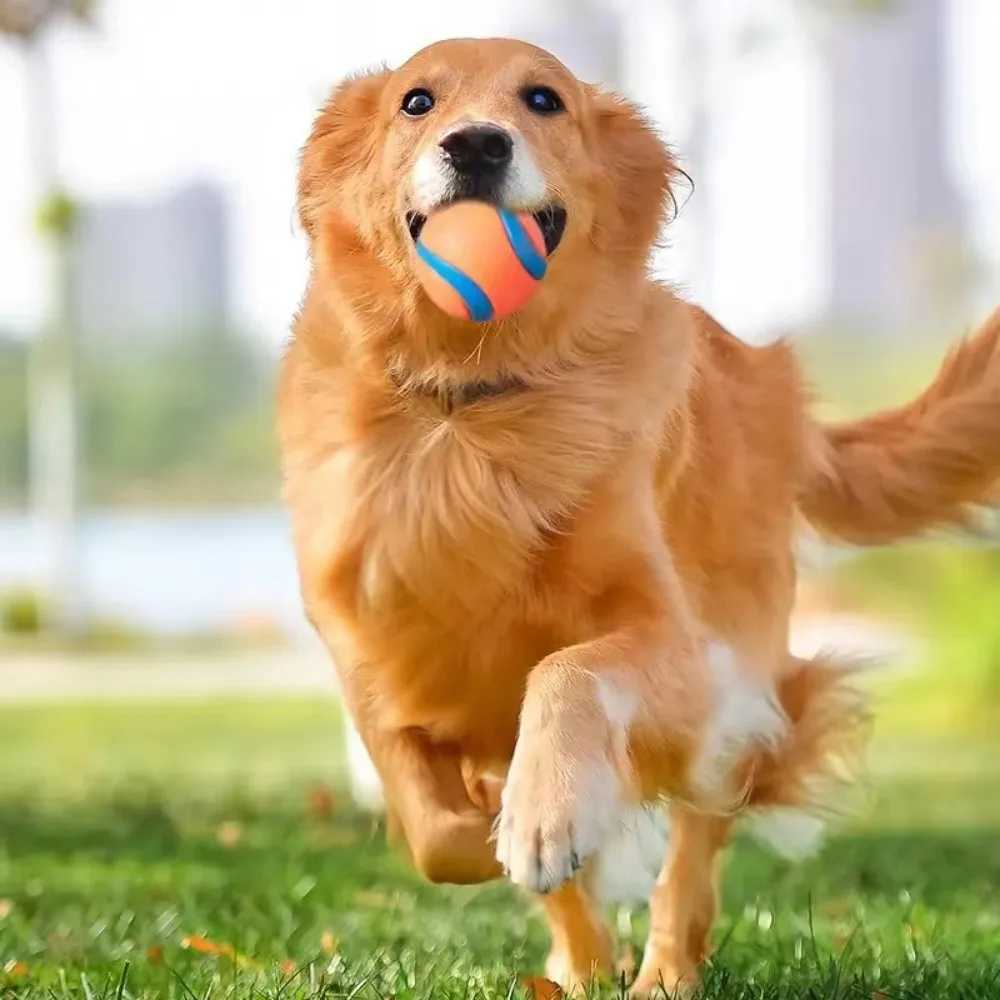 Dog toy ball dog grabbing ball toy hard pet ball puppy chewing toy solid elastic jumping ball pet accessories Z250412