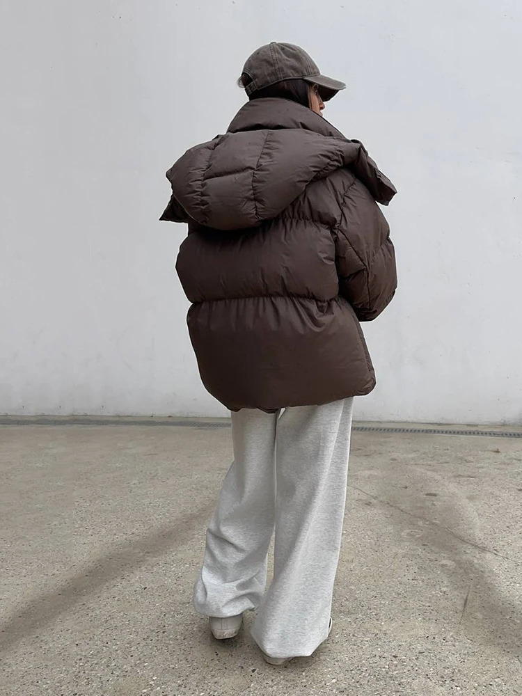 Winter Short Thick Hooded Puff Down Jacket Female Warm Loose Brown Jackets Women White Duck Zipper Parker Cotton Outwears 251107 - view 7