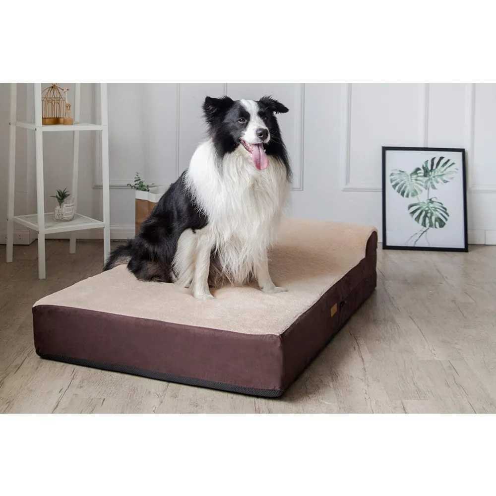 7-inch thick memory foam pet bed with removable cover and no waterproof lining X250412