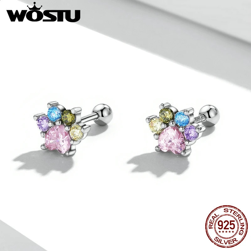 Wostu 925 sterling silver earrings colorful zirconium claw earrings womens zircon fashionable and exquisite jewelry wedding gifts 250409
