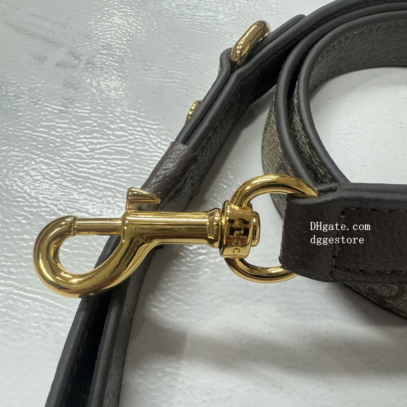 Designer Dog Collar and Leash Soft Leather Webbing Puppy Collar Stylish Gold Heavy Duty Metal Buckle for Small Dogs Cats Fashionable Dog Birthday Gift