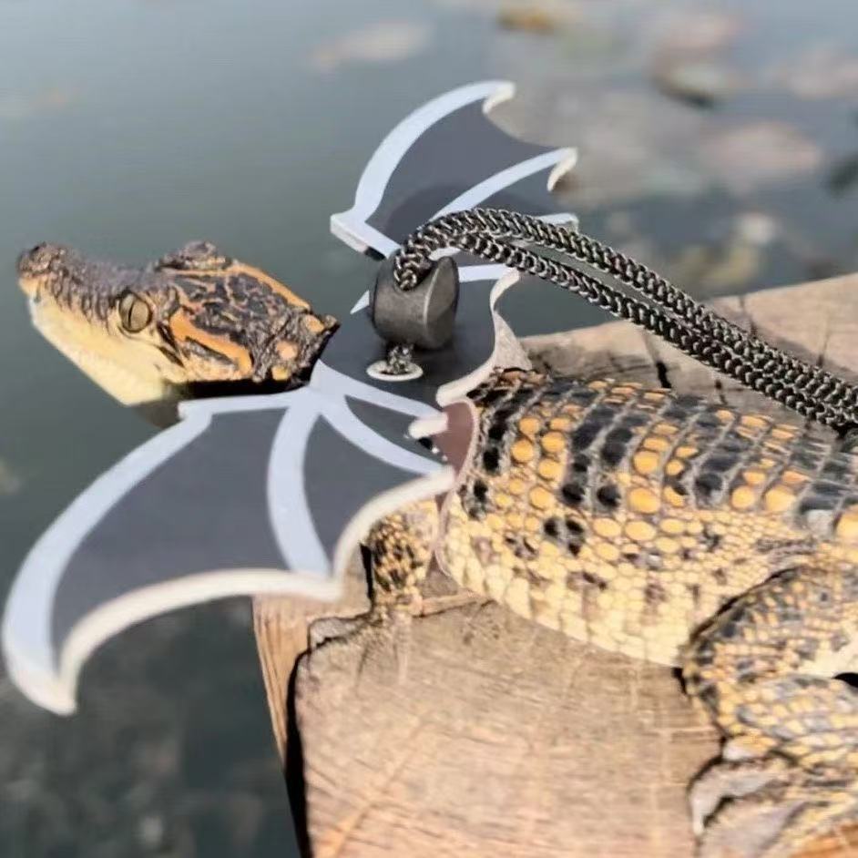 Set of three: Little crocodile lizard costume for outings, devilish attire, leash with wings, and climbing pet crocodile outfit.