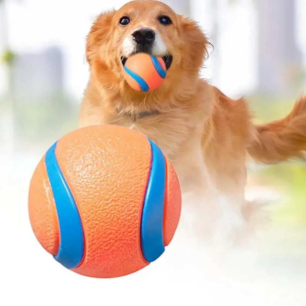 High Quality Dog toy ball dog grabbing ball toy hard pet ball puppy chewing toy solid elastic jumping ball pet accessories T2504012