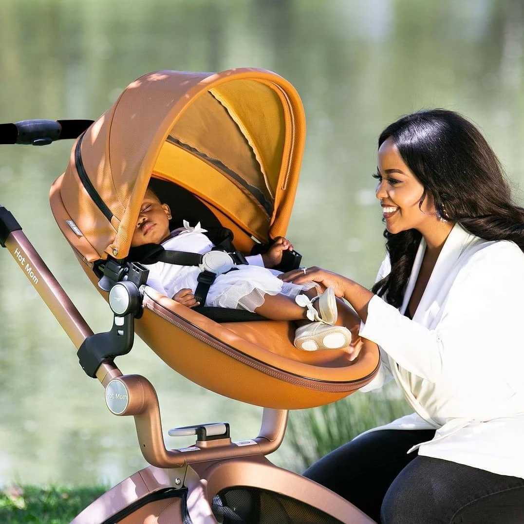 Hot Mom 2 in 1 Baby Pushchair Baby StrollerHigh Landscape Brown Stroller For Newborn BabyMultiple AccessoriesModel F22 W250910