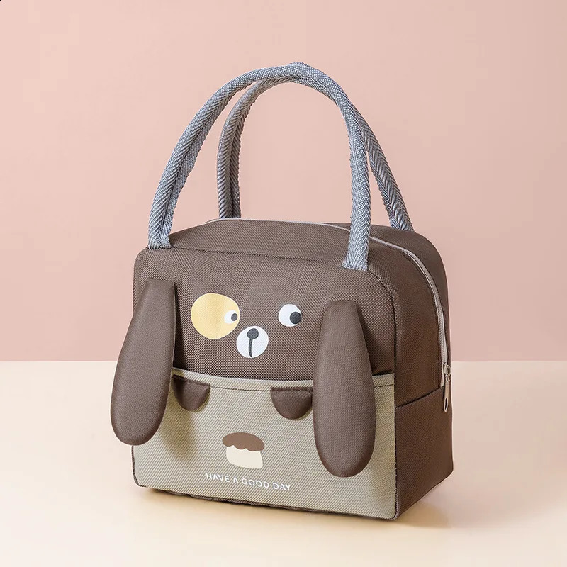 Portable Insulated Picnic Food Lunch Bag Box Cartoon Handbag Food Fresh Cooler Bag Womens Gifts 250410