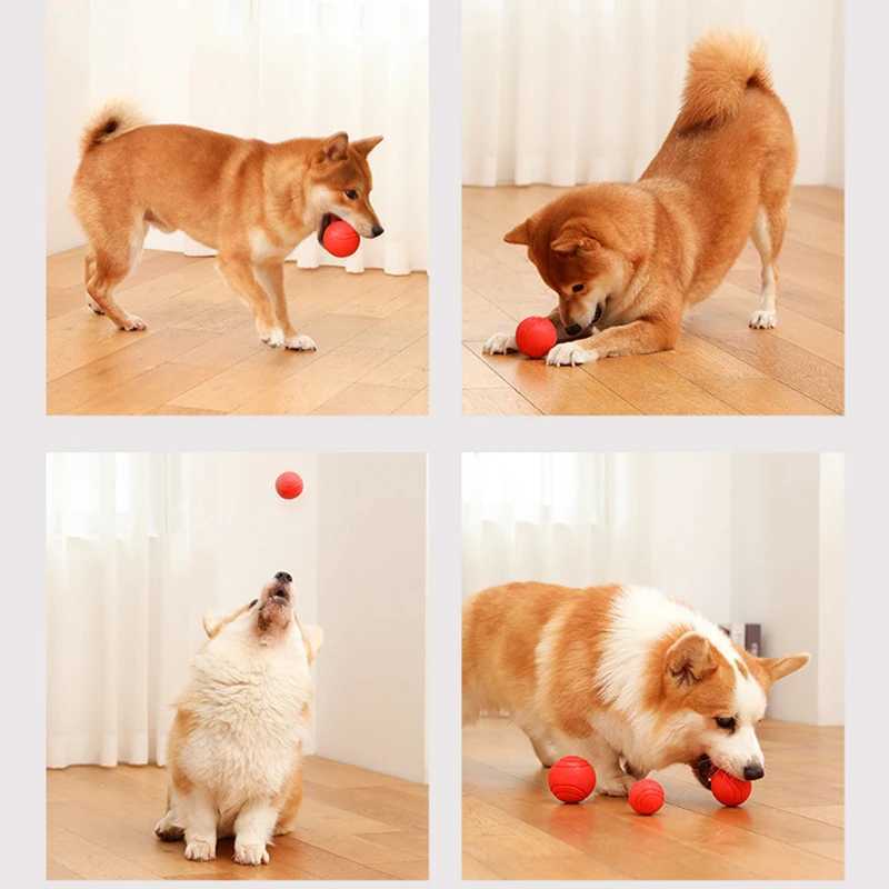 High Quality Madden S-XL size solid rubber bouncing bite resistant and indestructible dog training interactive pet toy plush ball T2504012