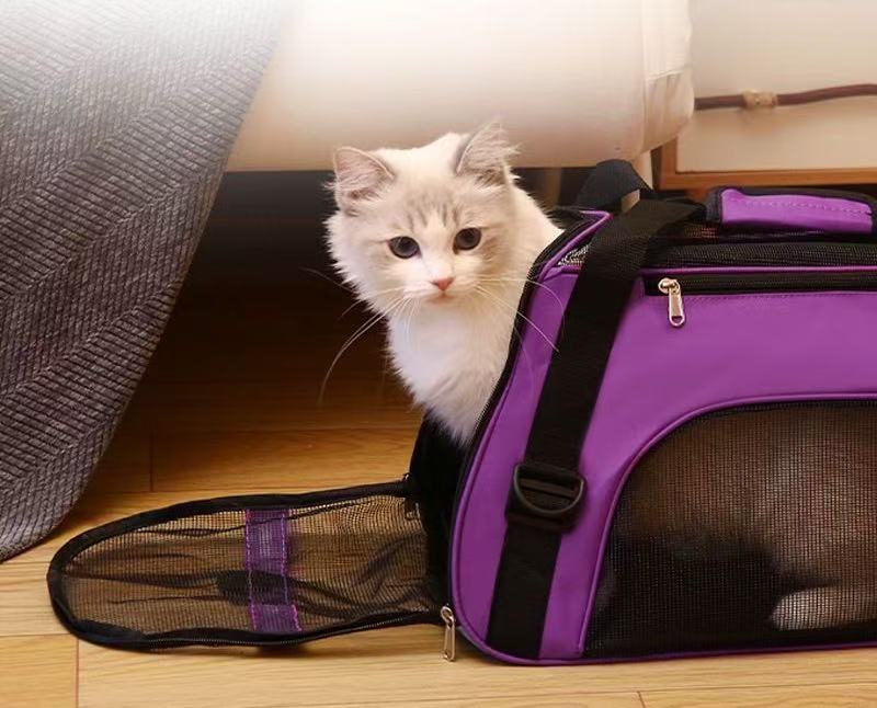 Pet bag Out portable pet backpack Dog bag Crossbody folding bag in stock