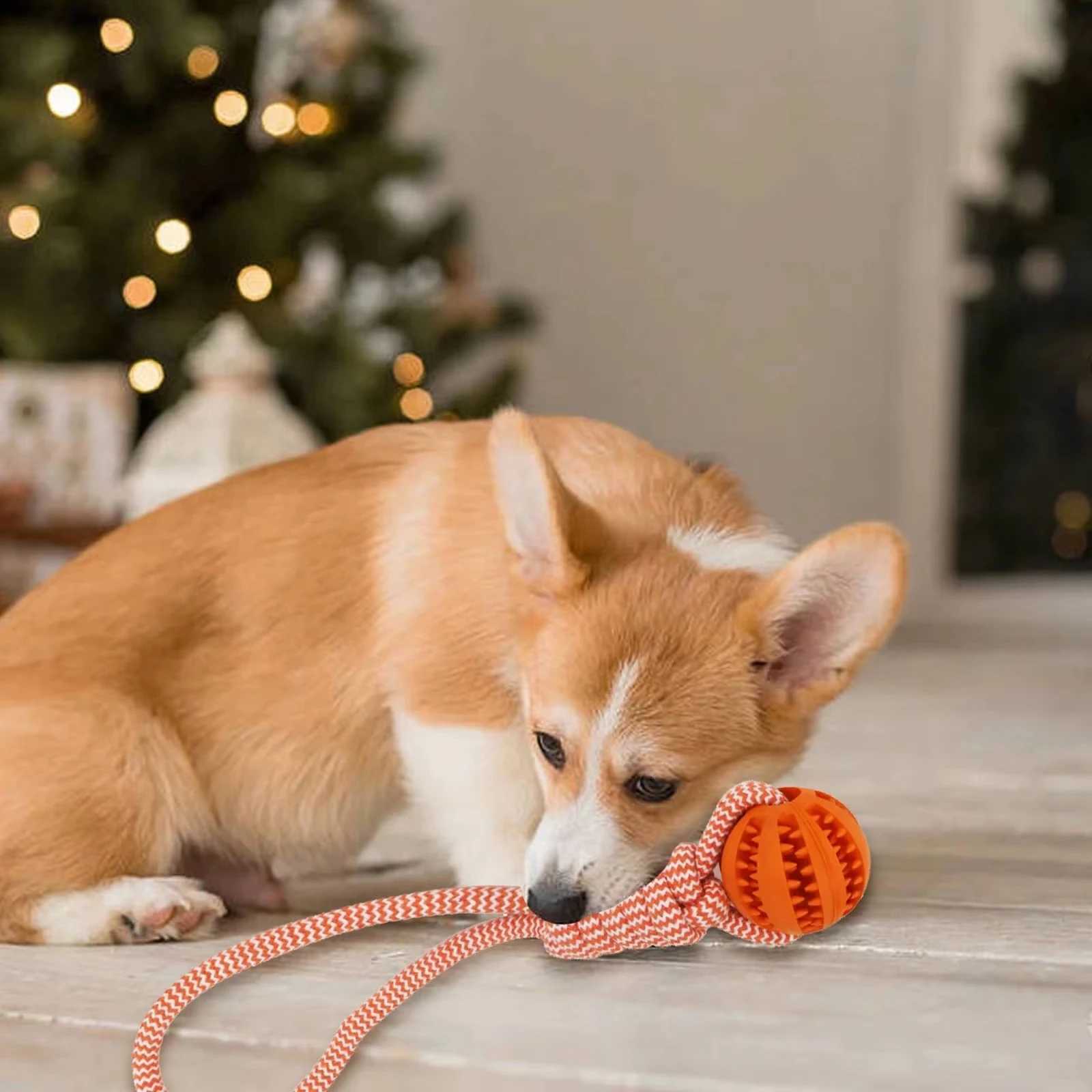 High Quality Interactive ice skating ball toy with rope suitable for large dogs bite chew resistant and small dog training pet accessori T2504012