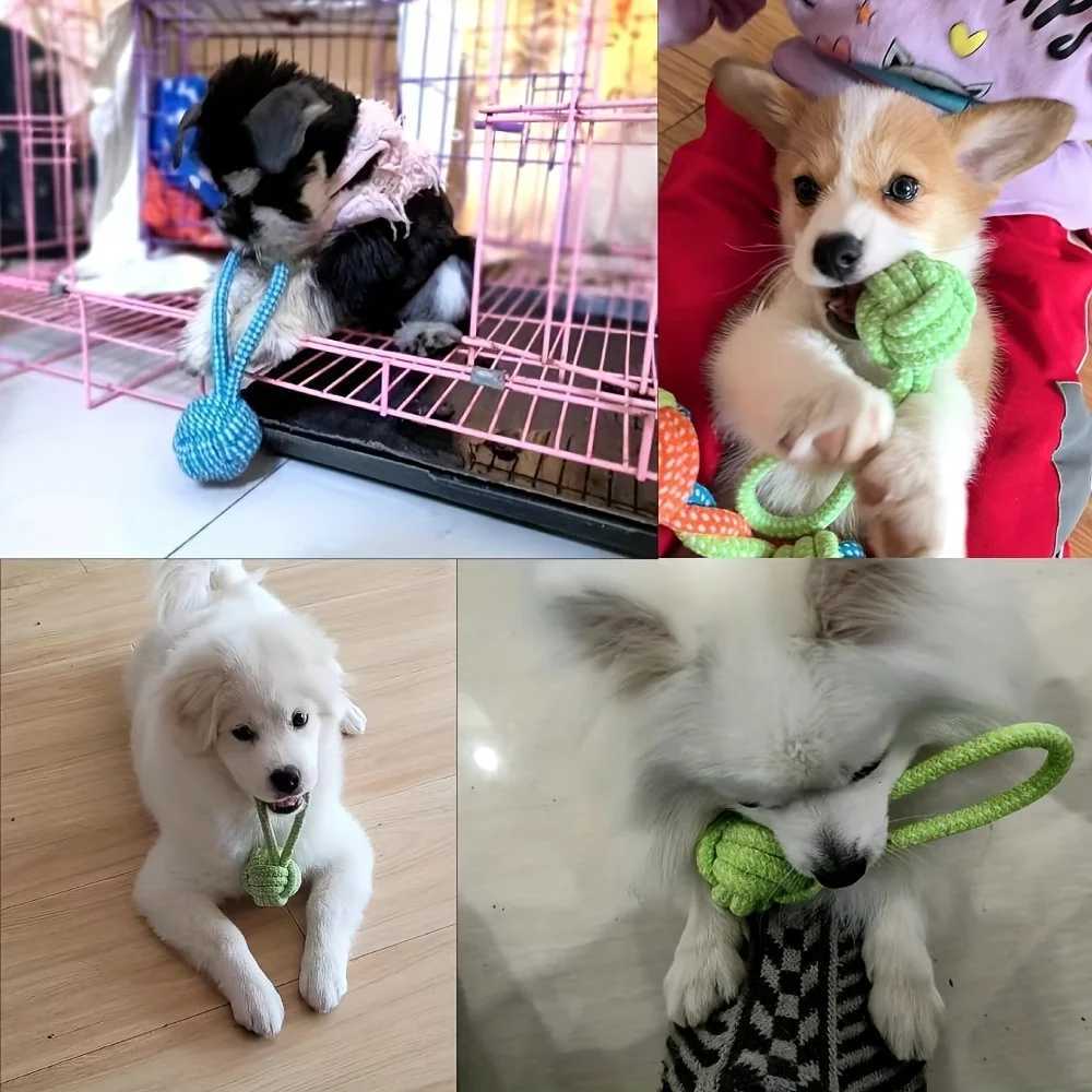 High Quality 1 colorful interactive cotton rope puppy mop toy ball dog accessory toothbrush chew durable supply T2504012