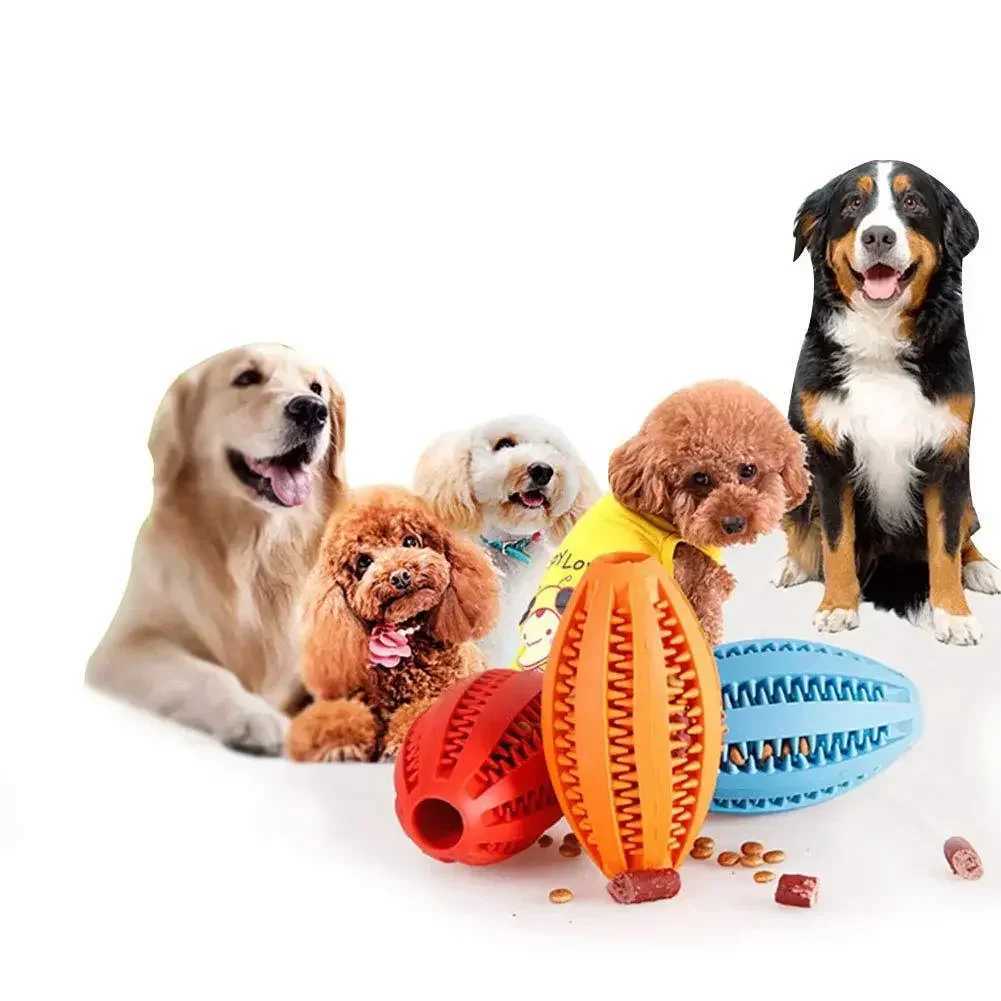 Pet Dog Chewing Toy Teeth Cleaning Snack Ball Pet Dog Toy Ball Natural Rubber Super Hard Interactive Bouncing Pet Supplies Z250412