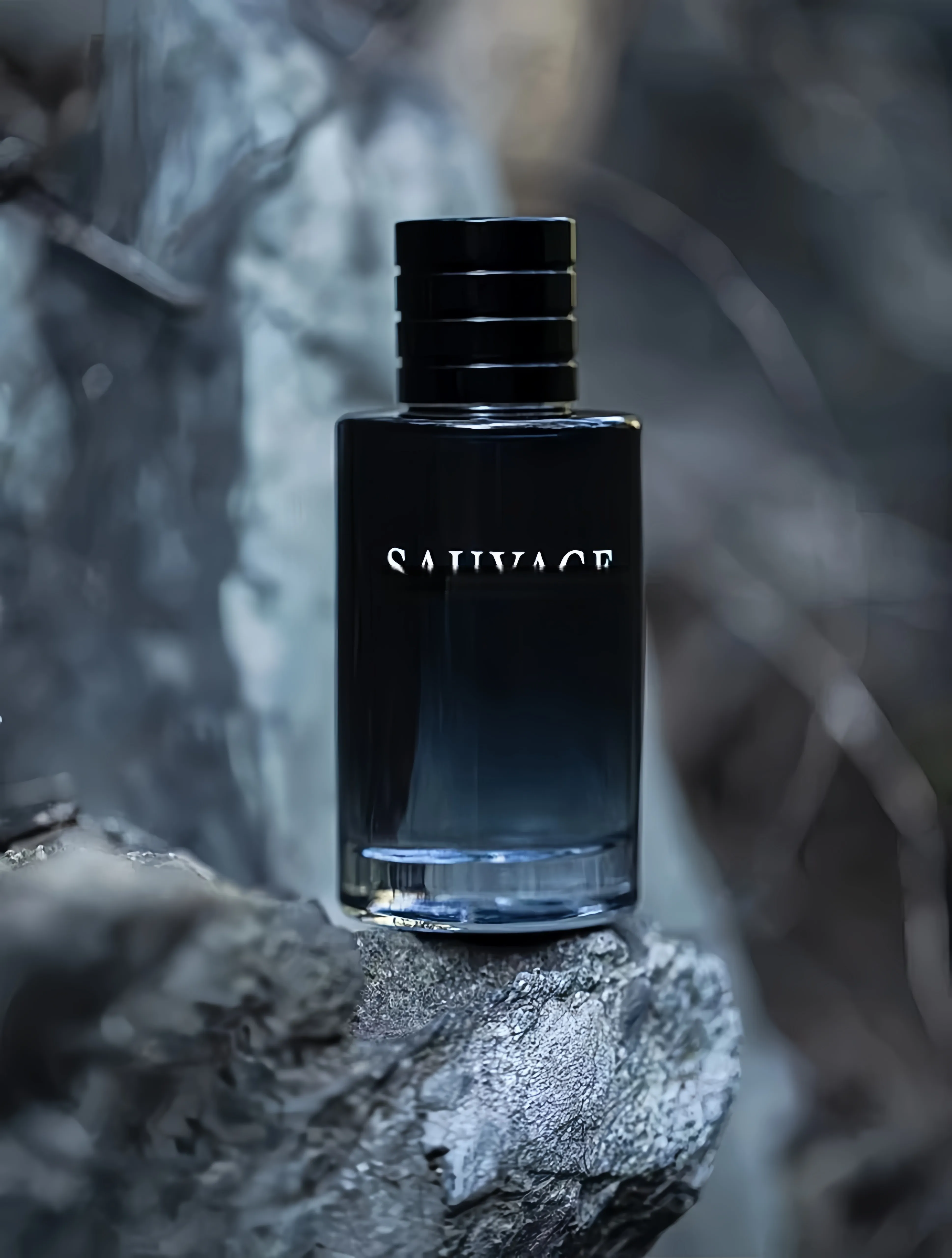 High quality Original perfum men colonge designer womens fragrance perfume 100ml 3.4oz wilderness long lasting scent fast shipping