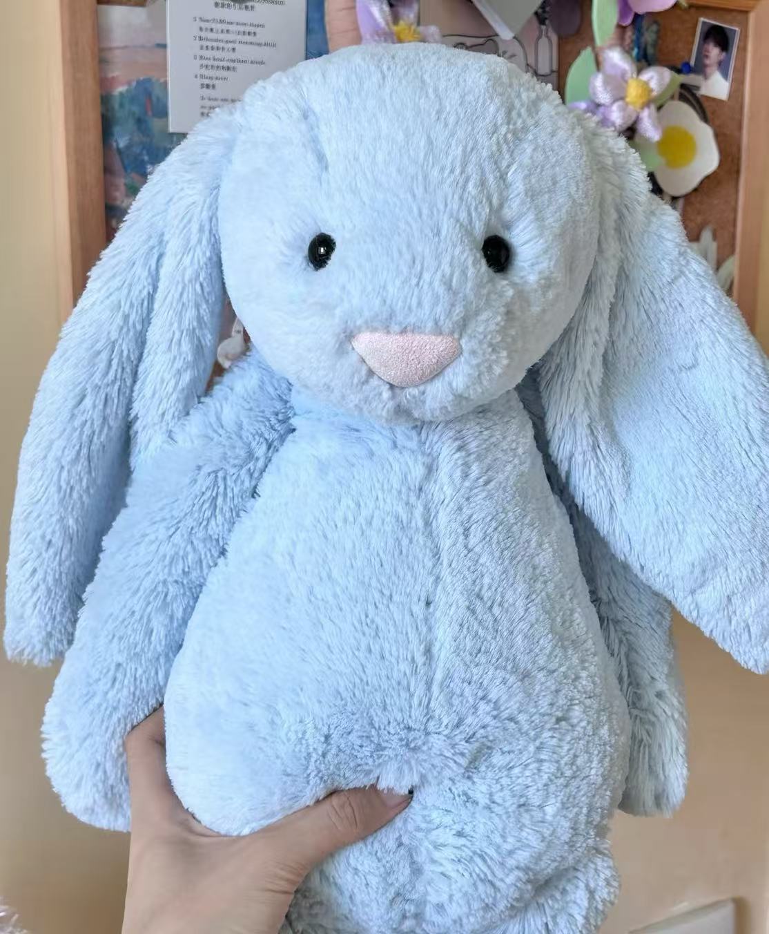 Jelly And Cat Plush Toy - Floppy Ear Hanging Doll Soft Stuffed Animal and Capybara Doll and bouquet