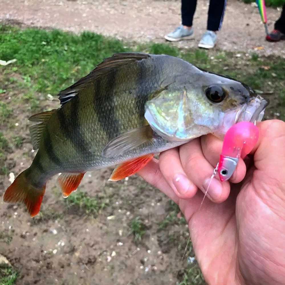 TEKNIK Black Minnow Body Soft Lure Jig Head 70mm/90mm/110mm Black Minnow For Bass Pike Silicone Bait Easy Shiner Jigging Leurre Z250411