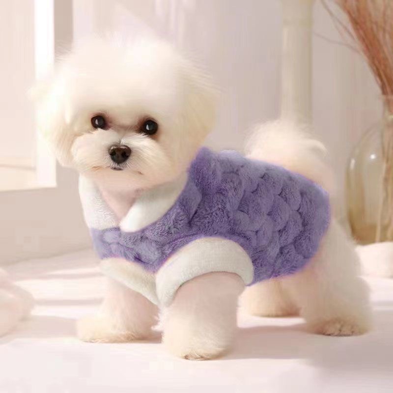 Summer Thin - style Belly - protecting Cat Clothes with Blue and White Sea Salt Bear Design. Also for Small Dogs, Ideal for Air - conditioned Rooms to