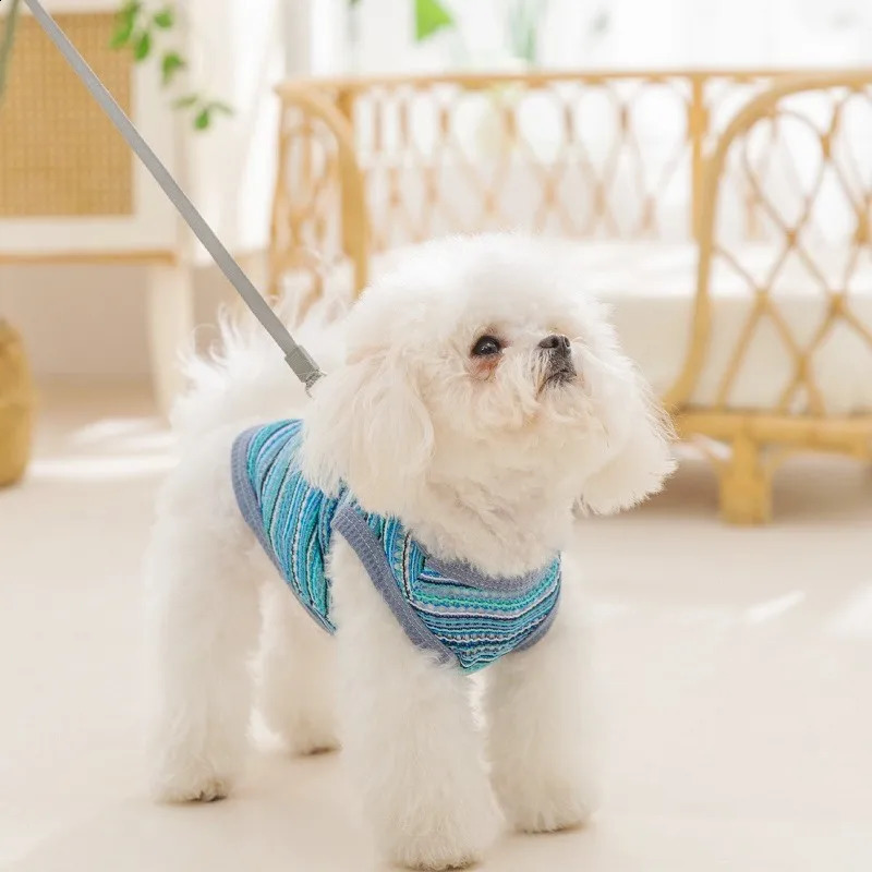 Cooling Vest for Dogs Summer Dog Clothes Breathable Mesh Cat T Shirt Chihuahua Bichon Clothing Dog Girl Costume Thin Puppy Shirt 250407