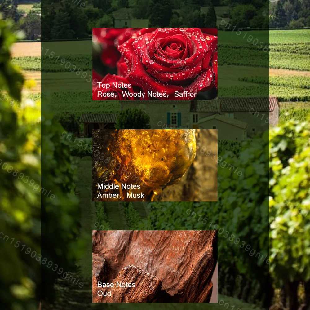 Mens Woody Perfume Eau De Toilette Sophisticated Fragrance Understated Elegance Pheromone Spray Confident Charm Cologne ScentT251113