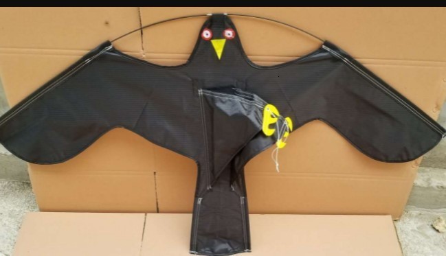 Outdoor toy 47 inch bird startled eagle kite suitable for gardensorchardsfarms 250321