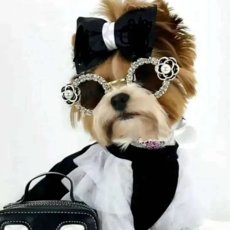 Dog Apparel pets Accessories Designer pet Camellia Luxury cat eye wear Circle frame sunglasses Festival Birthday accessoy