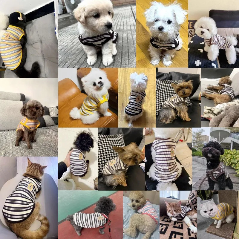 Summer Pet Dog Clothes for Small Dogs Fashion Dog Vest Cute Puppy Thin Shirt Bear Print Cat Vest Chihuahua Clothes Pet Clothing 250407