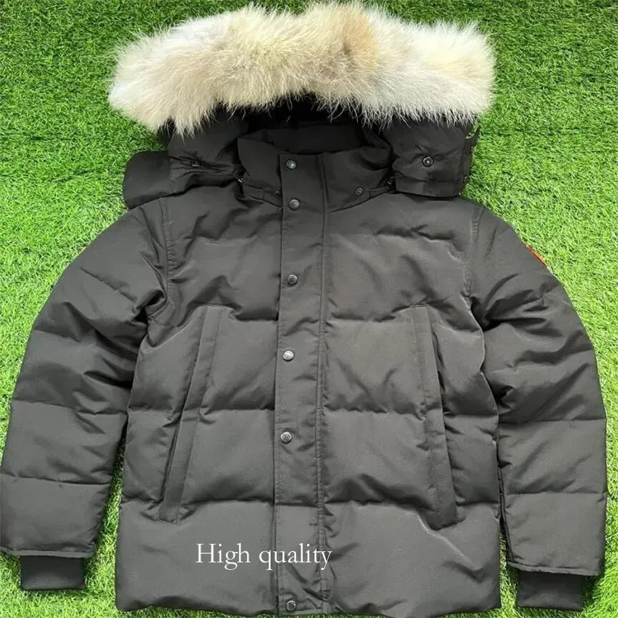 Down Jacket Canada Coats Parka Coat jassen outerwear real coyote fur Real Big Fur Hooded Fourrure Manteau Down Jacket Coat Hiver Parka Doudoune 1a