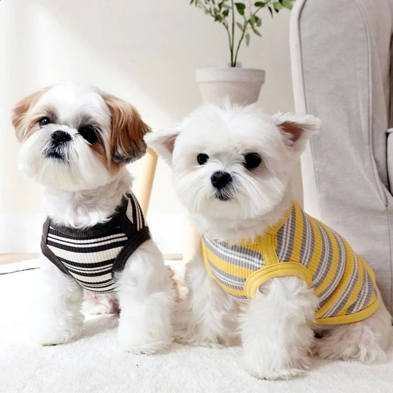 Summer Pet Dog Clothes for Small Dogs Fashion Dog Vest Cute Puppy Thin Shirt Bear Print Cat Vest Chihuahua Clothes Pet Clothing 250407