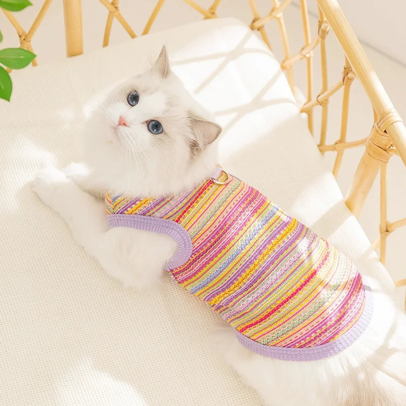 Cooling Vest for Dogs Summer Dog Clothes Breathable Mesh Cat T Shirt Chihuahua Bichon Clothing Dog Girl Costume Thin Puppy Shirt 250407