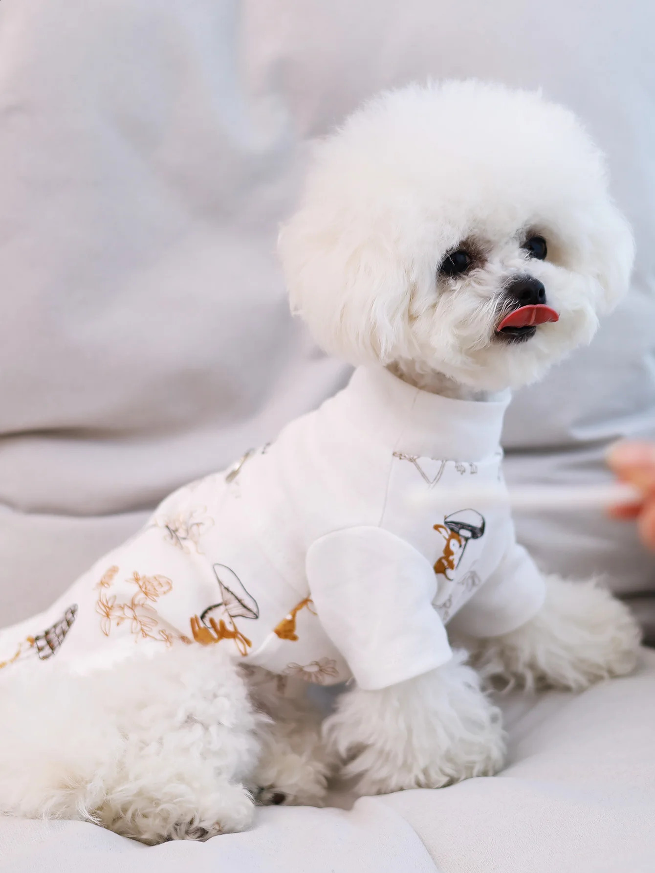 Dog T-shirt summer thin pet clothing spring and summer bichon small and medium-sized dog clothes cat Yorkshire can be direct 250407