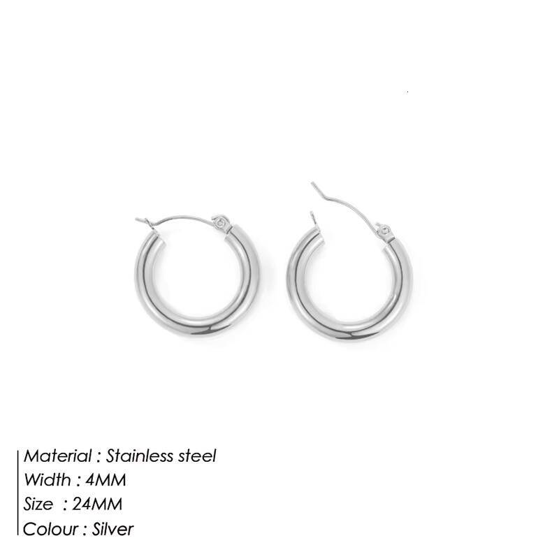 Womens Stainless Steel Earrings Simple Hoop Trendy Geometric Pattern New Distinctive