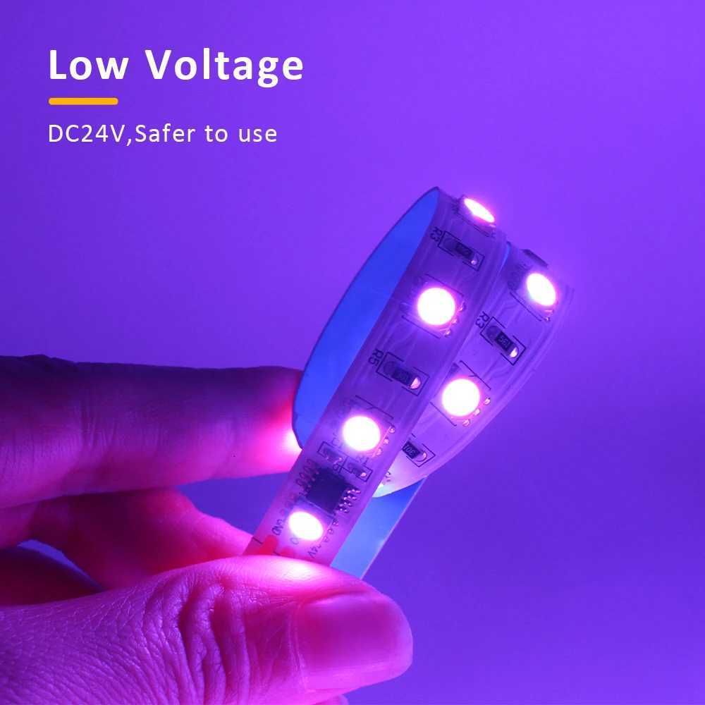 5M 10M 20M RGBIC Horse Racing LED Light Strips 24V WS2811 Pixel Flex Ribbon Running Water Flow Tape Lamp Wireless Remote Control W251112