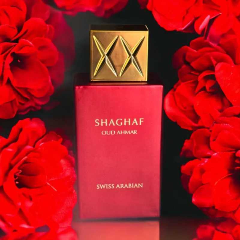 75ml Unisex Niche Perfume Long Lasting Eau De Parfum Fresh Floral Gourmand Woody Oriental Luxury Captivating Elegant ScentT251113