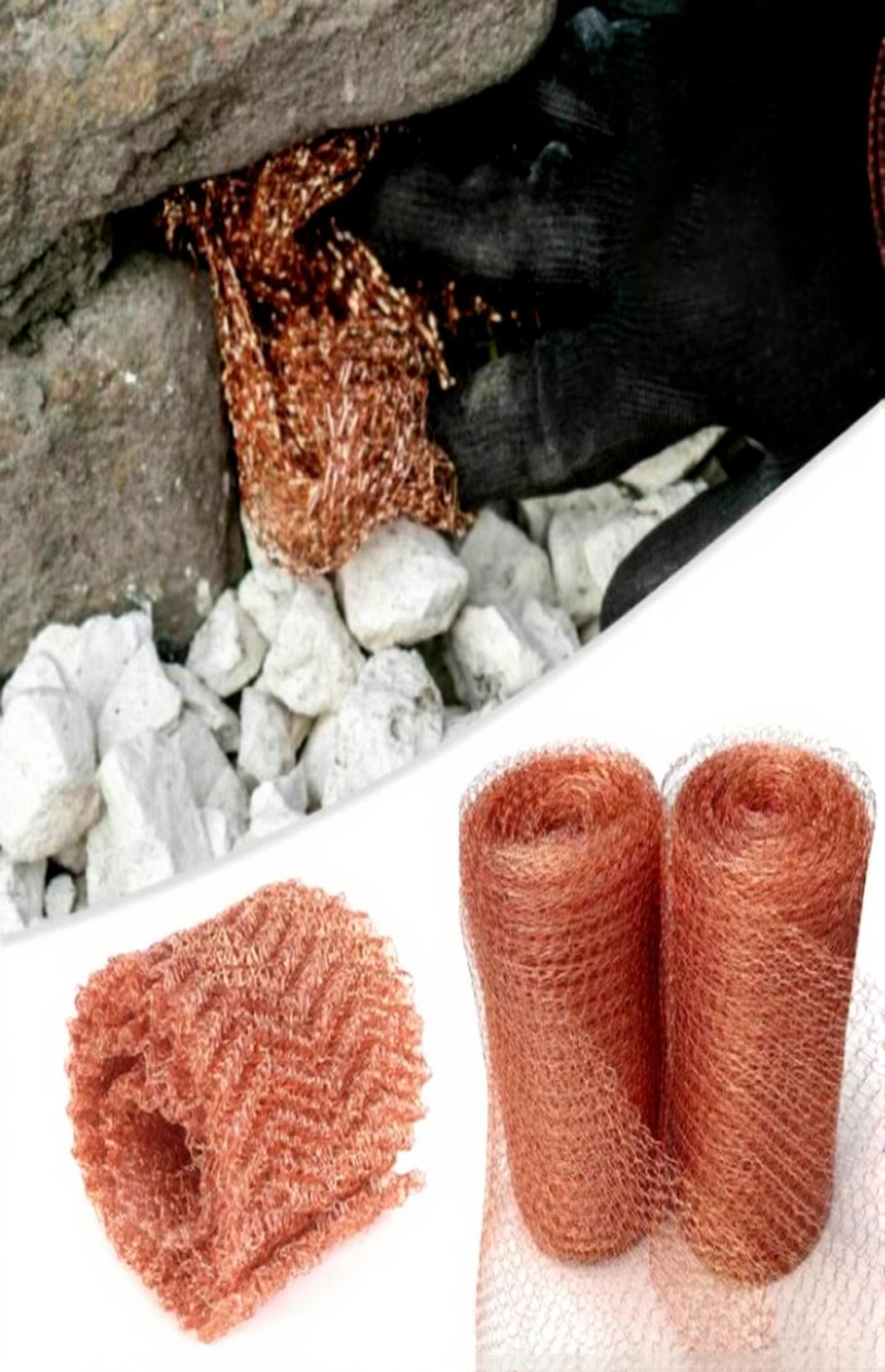 2 Wire Copper Mesh Filter with 12 7CM for Distillation Woven Screen column packing Apparatus pest mesh insects net 220602