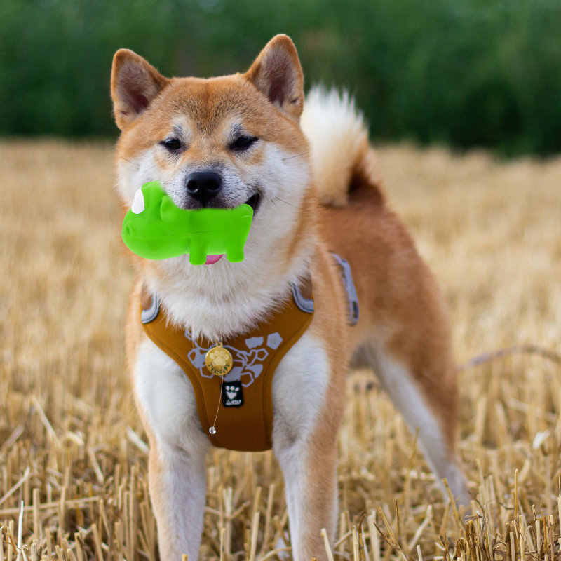 Update Pet Latex Toys Puppy Squeaky Dog Squeakers Reindeer Sensory Fidgets Ball Teething Interactive For Medium Dogs Chew Hand Large