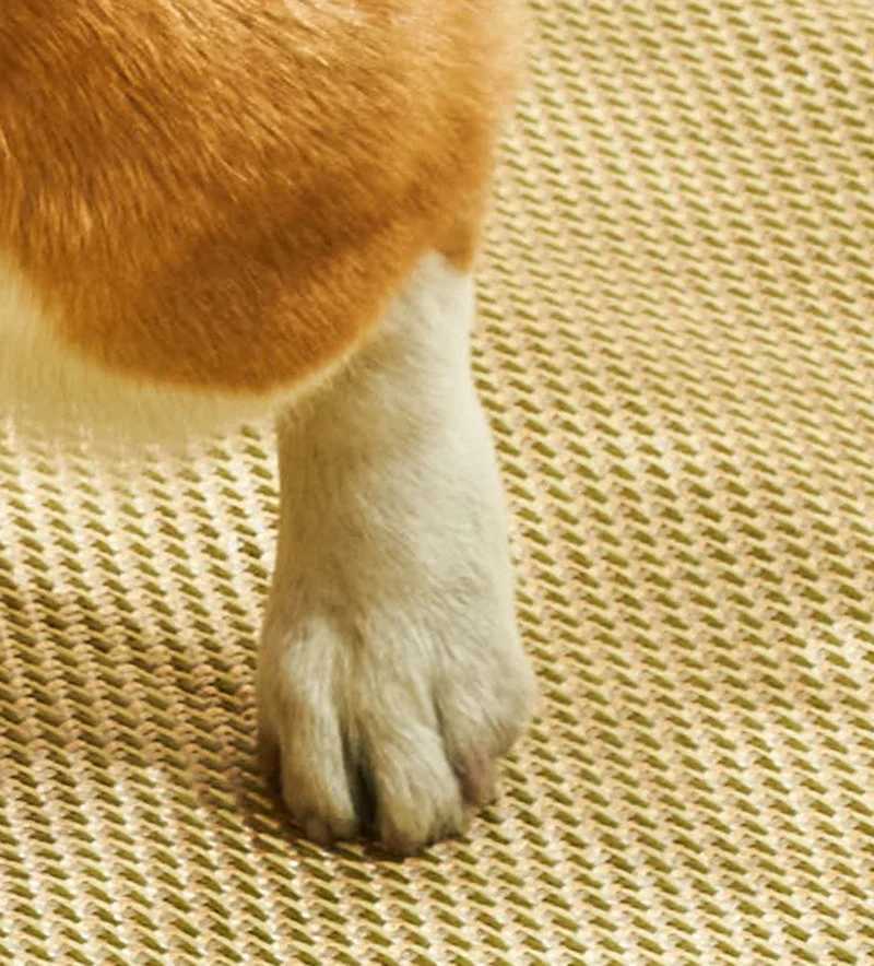 Cool pet mattress in summer - breathable gel infused sleep pad suitable for dogs and cats with antiskid base pet sleep ice Pa X250412