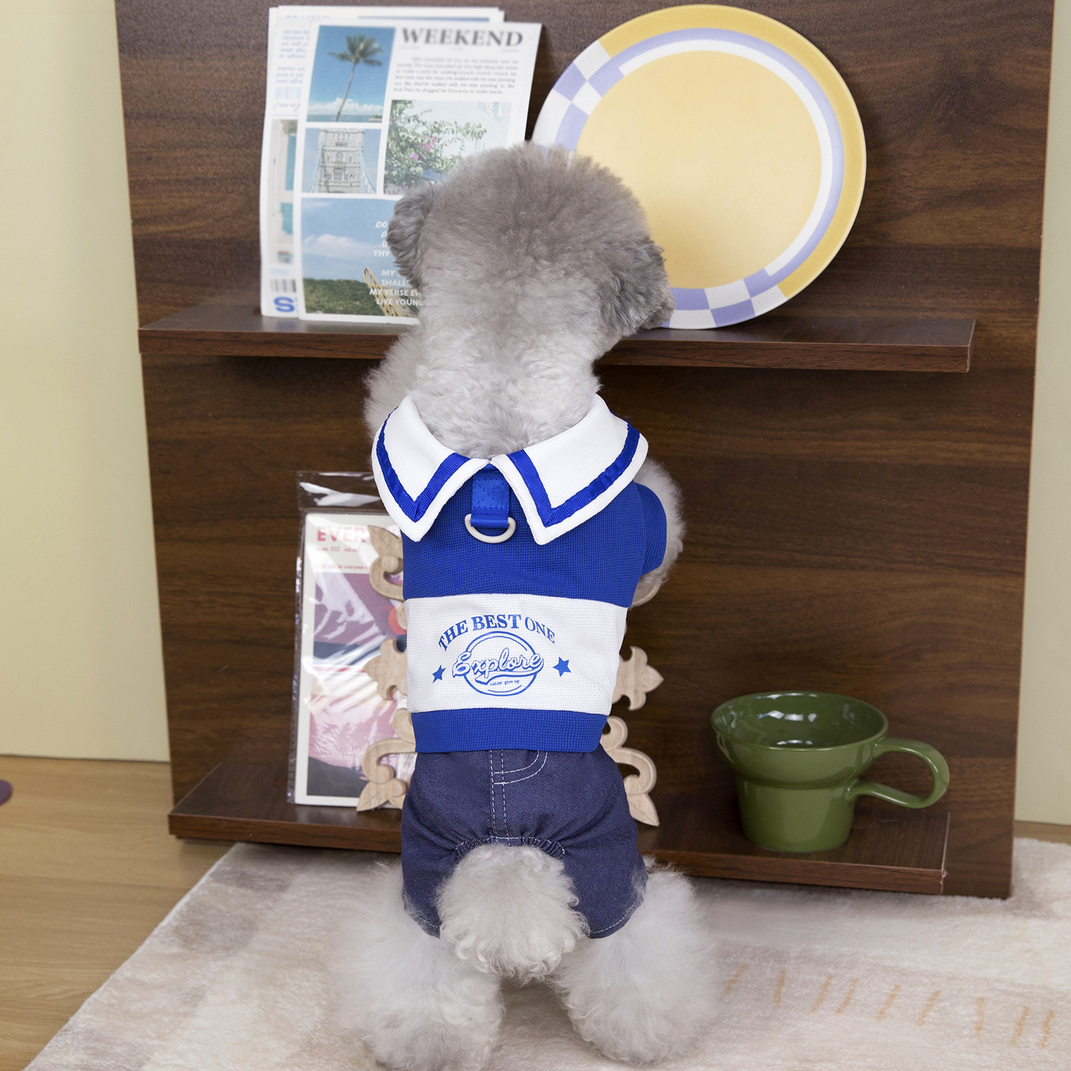 Leisure Dog Clothes Dog Pajamas, Boy Girl College Style Pajamas 4 Legged Pet Clothes, Mesh Breathable Dog Jumpsuit for Medium Small Dogs XXL A83