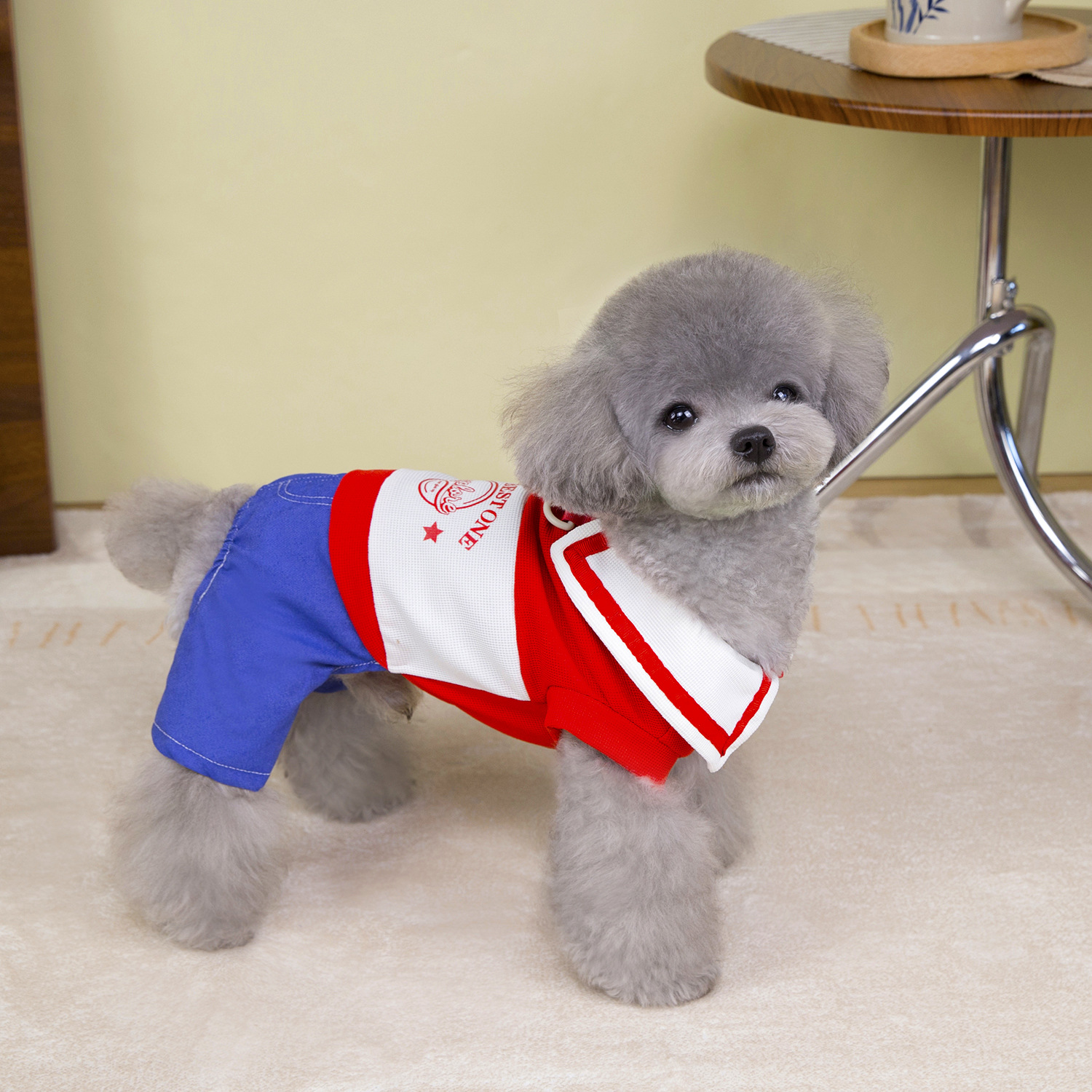 Leisure Dog Clothes Dog Pajamas, Boy Girl College Style Pajamas 4 Legged Pet Clothes, Mesh Breathable Dog Jumpsuit for Medium Small Dogs XXL A83