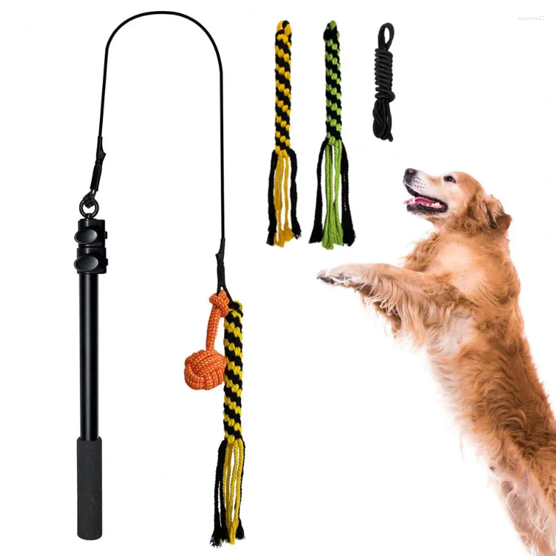 Update Set Retractable Dog Stick Interactive Play Bite Resistant Relieve Stress Dogs Flirt Pole For Daily