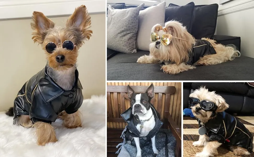 Eagle Embroidered Dog Jacket - Stylish & Warm Pet Coat for Small, Medium and Large Dogs