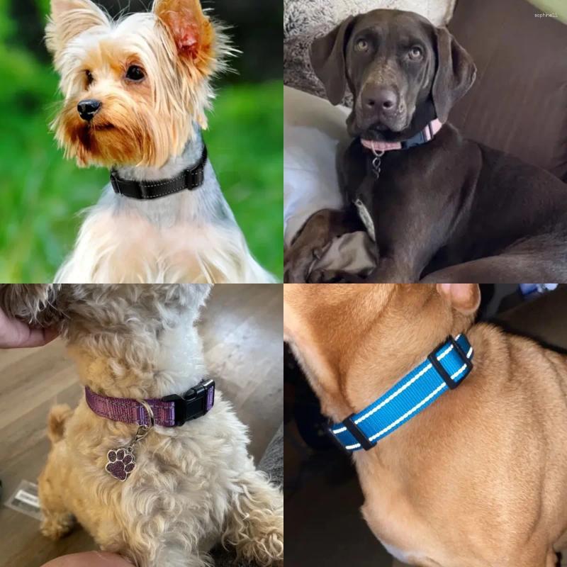 Update Selling Pet Nylon Reflective Dog Collar Adjustable Anti-Slip Leash