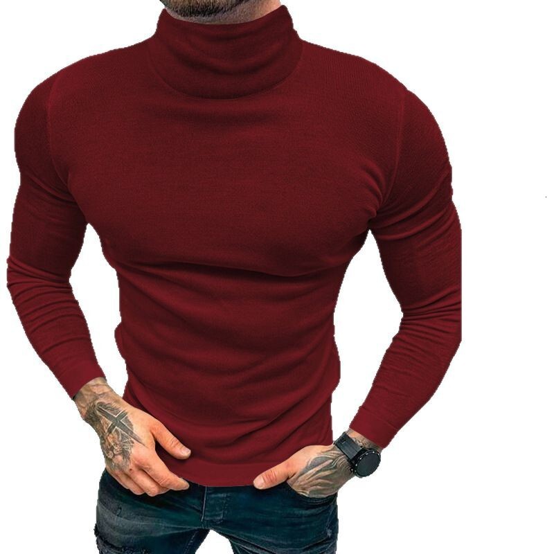 2025 New Men's Solid Color T-shirt High Neck Long Sleeve Spring/Autumn/Winter Base Knitted Sweater Korean Version Hoodie