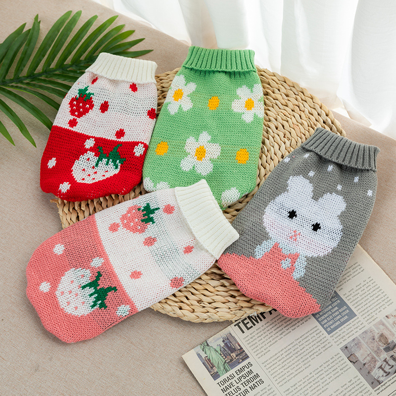 Premium Pet Clothing Collection Featuring Stylish Knitted Jackets