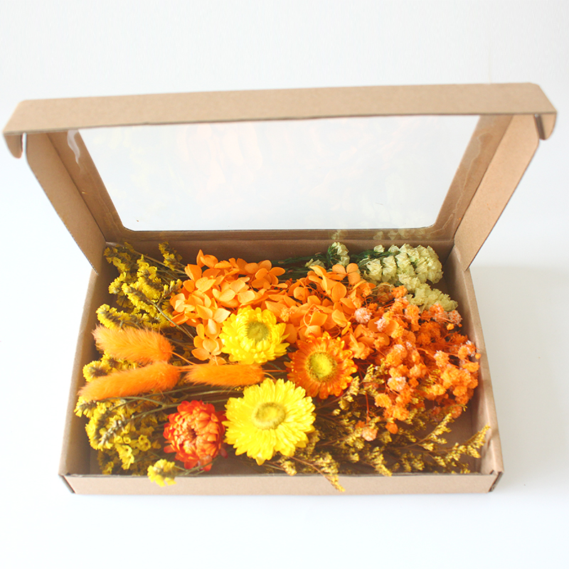 Dried Flower Craft Kit DIY Creative Handmade Decorations for Home Dried Flowers, Natural Plants, Real Flowers, Leaves
