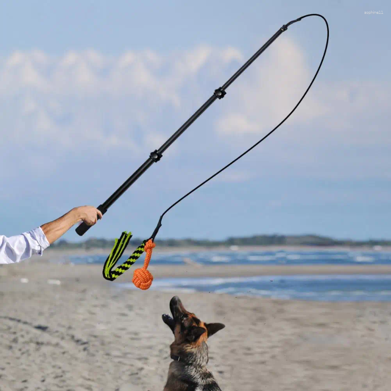 Update Set Retractable Dog Stick Interactive Play Bite Resistant Relieve Stress Dogs Flirt Pole For Daily