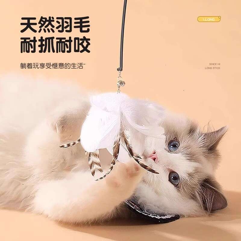 Suction Cup Floor-Suction Teaser Wand Cat Toy Self-Entertainment Base Steel Wire New Durable Feather Replacement Head Bite-Resistant cat toy