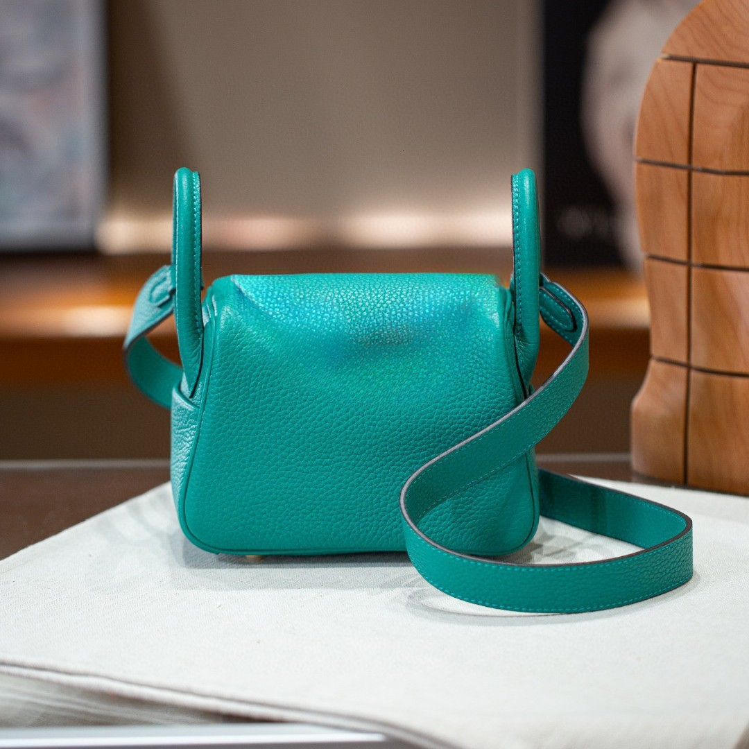 Designer cowhide mini handbag, new single shoulder crossbody bag, designer bag