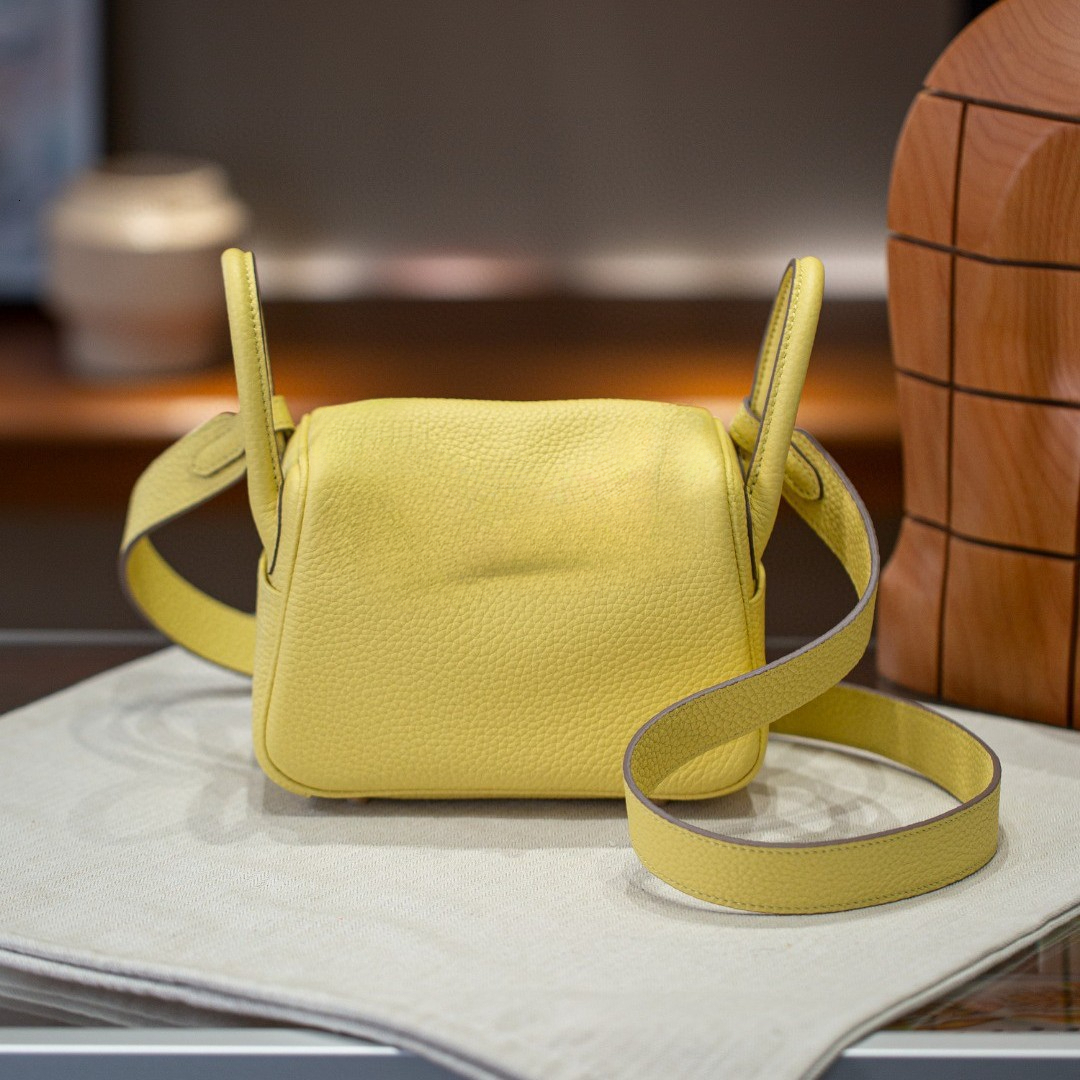 Designer cowhide mini handbag, new single shoulder crossbody bag, designer bag