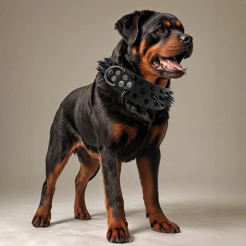 Update Dog Collar Nail Medium Large Bulldog Bully Anti-Bite Pet Products